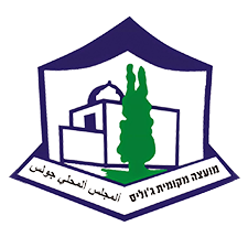 מועצה מקומית ג׳וליס